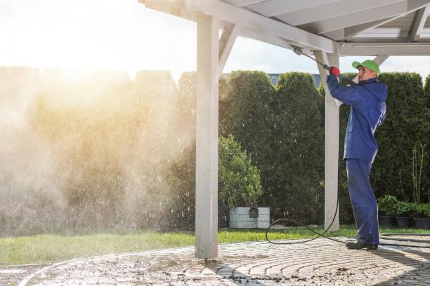 Best Soft Washing for Delicate Surfaces in Proctor, VT